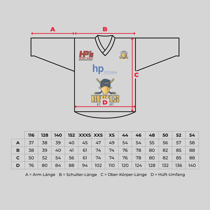 Game-Worn Heim-Trikot 2024/25